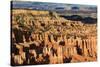 Late Afternoon Sun Lights Lines of Hoodoos at Sunset Point, Bryce Canyon National Park, Utah, Usa-Eleanor Scriven-Stretched Canvas