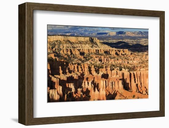 Late Afternoon Sun Lights Lines of Hoodoos at Sunset Point, Bryce Canyon National Park, Utah, Usa-Eleanor Scriven-Framed Photographic Print