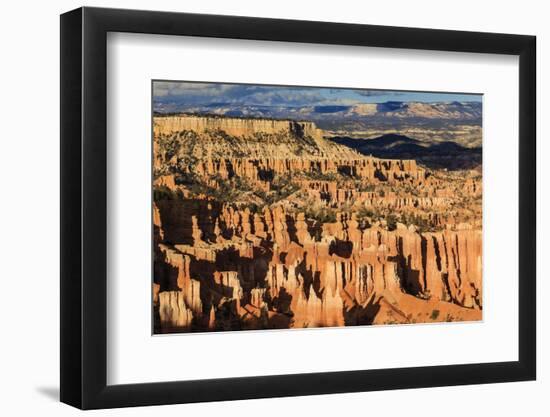 Late Afternoon Sun Lights Lines of Hoodoos at Sunset Point, Bryce Canyon National Park, Utah, Usa-Eleanor Scriven-Framed Photographic Print