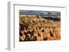 Late Afternoon Sun Lights Lines of Hoodoos at Sunset Point, Bryce Canyon National Park, Utah, Usa-Eleanor Scriven-Framed Photographic Print