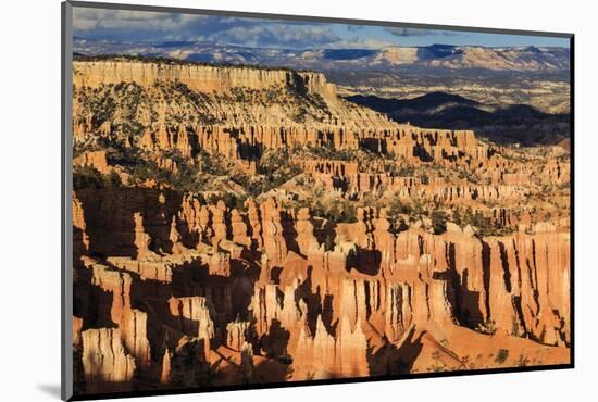 Late Afternoon Sun Lights Lines of Hoodoos at Sunset Point, Bryce Canyon National Park, Utah, Usa-Eleanor Scriven-Mounted Photographic Print