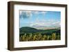 Late afternoon view of fields near Cayambe Volcano, Imbabura and Pichincha Provinces, Ecuador-null-Framed Photographic Print