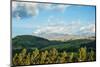 Late afternoon view of fields near Cayambe Volcano, Imbabura and Pichincha Provinces, Ecuador-null-Mounted Photographic Print