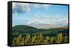 Late afternoon view of fields near Cayambe Volcano, Imbabura and Pichincha Provinces, Ecuador-null-Framed Stretched Canvas