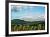 Late afternoon view of fields near Cayambe Volcano, Imbabura and Pichincha Provinces, Ecuador-null-Framed Photographic Print