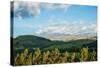 Late afternoon view of fields near Cayambe Volcano, Imbabura and Pichincha Provinces, Ecuador-null-Stretched Canvas