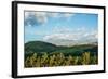 Late afternoon view of fields near Cayambe Volcano, Imbabura and Pichincha Provinces, Ecuador-null-Framed Photographic Print