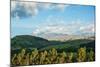 Late afternoon view of fields near Cayambe Volcano, Imbabura and Pichincha Provinces, Ecuador-null-Mounted Photographic Print