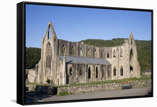 Late afternoon view of South and West sides of Tintern Abbey, Monmouthshire, Wales-Julian Pottage-Framed Stretched Canvas