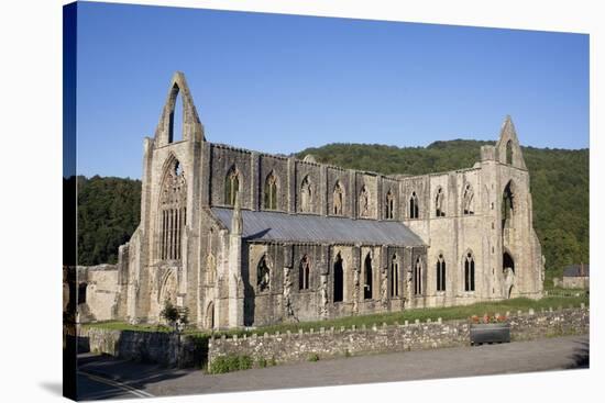 Late afternoon view of South and West sides of Tintern Abbey, Monmouthshire, Wales-Julian Pottage-Stretched Canvas