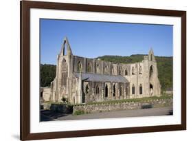 Late afternoon view of South and West sides of Tintern Abbey, Monmouthshire, Wales-Julian Pottage-Framed Photographic Print