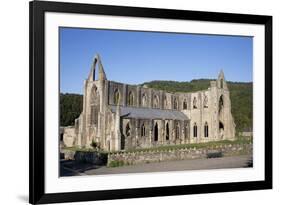 Late afternoon view of South and West sides of Tintern Abbey, Monmouthshire, Wales-Julian Pottage-Framed Photographic Print