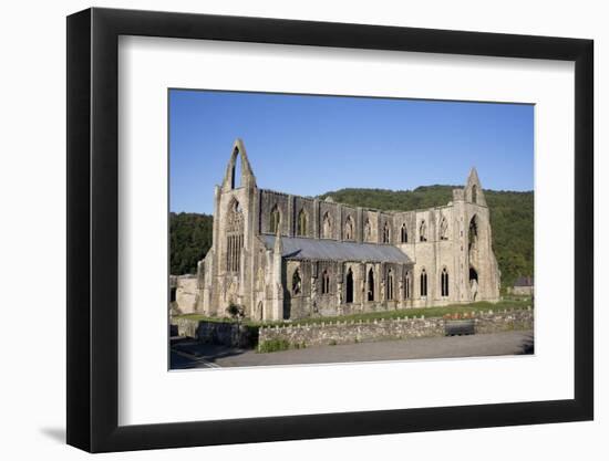 Late afternoon view of South and West sides of Tintern Abbey, Monmouthshire, Wales-Julian Pottage-Framed Photographic Print