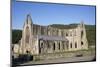 Late afternoon view of South and West sides of Tintern Abbey, Monmouthshire, Wales-Julian Pottage-Mounted Photographic Print