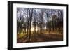 Late Afternoon Winter Sunlight Shining Through Trees in Woodland at Longhoughton-Lee Frost-Framed Photographic Print