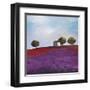 Late Afternoon-Philip Bloom-Framed Art Print