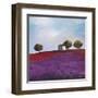 Late Afternoon-Philip Bloom-Framed Art Print