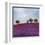 Late Afternoon-Philip Bloom-Framed Art Print