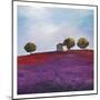 Late Afternoon-Philip Bloom-Mounted Art Print