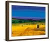 Late Afternoon-Paul Evans-Framed Giclee Print