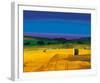 Late Afternoon-Paul Evans-Framed Giclee Print