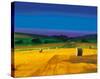 Late Afternoon-Paul Evans-Stretched Canvas