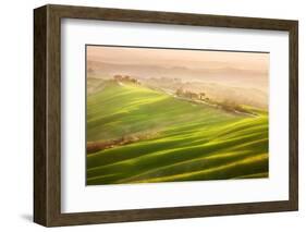 Late Afternoon-Marcin Sobas-Framed Photographic Print