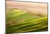 Late Afternoon-Marcin Sobas-Mounted Photographic Print