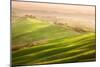 Late Afternoon-Marcin Sobas-Mounted Photographic Print