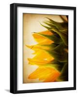 Late Bloomer-Jessica Rogers-Framed Giclee Print