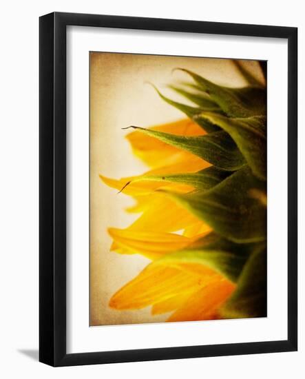 Late Bloomer-Jessica Rogers-Framed Giclee Print