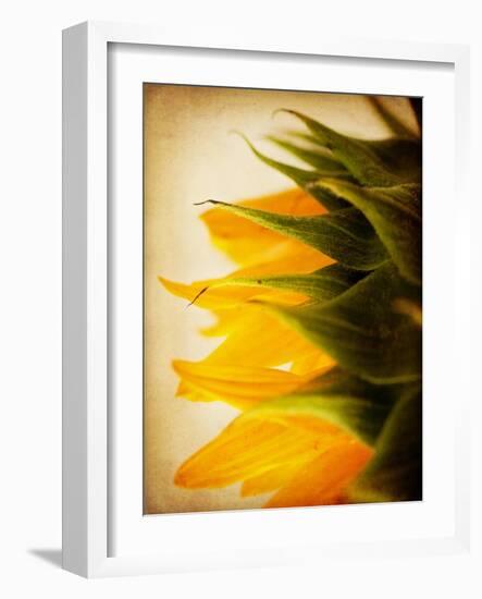 Late Bloomer-Jessica Rogers-Framed Giclee Print