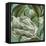 Late Bloomers II-Elizabeth Medley-Framed Stretched Canvas
