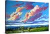 Late Day Clouds over the Divide-Patty Baker-Stretched Canvas