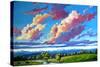 Late Day Clouds over the Divide-Patty Baker-Stretched Canvas