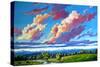 Late Day Clouds over the Divide-Patty Baker-Stretched Canvas