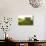 Late Day Sun Pokes Through the Slats of a Corn Crib on a Bucks County, Pennsylvania Farm-Vince M. Camiolo-Photographic Print displayed on a wall