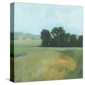 Late Days-Megan Lightell-Stretched Canvas