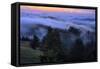 Late Drifting Fog After Sunset at Mount Tamalpais, Marin County-Vincent James-Framed Stretched Canvas