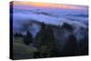 Late Drifting Fog After Sunset at Mount Tamalpais, Marin County-Vincent James-Stretched Canvas