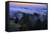 Late Drifting Fog After Sunset at Mount Tamalpais, Marin County-Vincent James-Framed Stretched Canvas