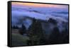 Late Drifting Fog After Sunset at Mount Tamalpais, Marin County-Vincent James-Framed Stretched Canvas