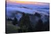Late Drifting Fog After Sunset at Mount Tamalpais, Marin County-Vincent James-Stretched Canvas