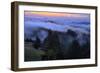 Late Drifting Fog After Sunset at Mount Tamalpais, Marin County-Vincent James-Framed Photographic Print