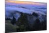 Late Drifting Fog After Sunset at Mount Tamalpais, Marin County-Vincent James-Mounted Photographic Print