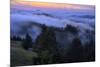 Late Drifting Fog After Sunset at Mount Tamalpais, Marin County-Vincent James-Mounted Photographic Print