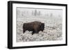 Late Fall Yellowstone-Alfred Forns-Framed Giclee Print