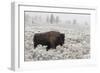 Late Fall Yellowstone-Alfred Forns-Framed Giclee Print