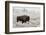 Late Fall Yellowstone-Alfred Forns-Framed Photographic Print