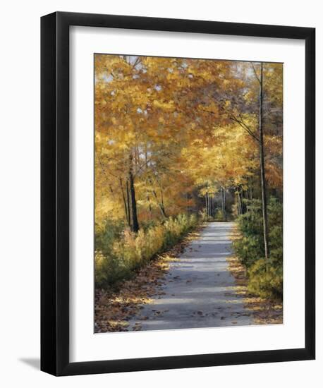 Late Fall-Diane Romanello-Framed Art Print